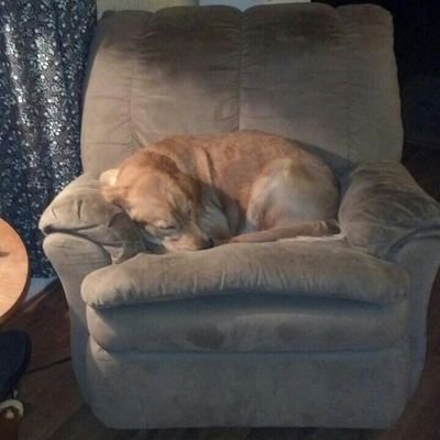 Profile Picture of Chad Farr (@3d9419ca124a447) on Twitter