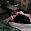 Profile Picture of Debra Guette (@@debraguette) on Tiktok