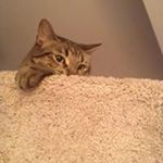 Profile Picture of Pam Saunders (@psaunders102) on Instagram