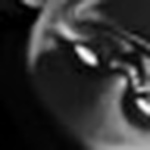 Profile Picture of Bruno RIbeiro Petito (@Orgaasma Str?t) on Flickr