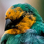 Profile Picture of Julian Price (@Supacharged21) on Flickr