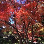 Profile Picture of Loryn Hoffman (@bloggerloryn) on Instagram