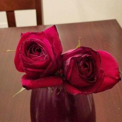 Profile Picture of Sharon Rashbaum (@SharonR1222) on Twitter