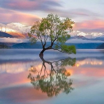 Profile Picture of Barkha Patel (@patel_barkha) on Twitter