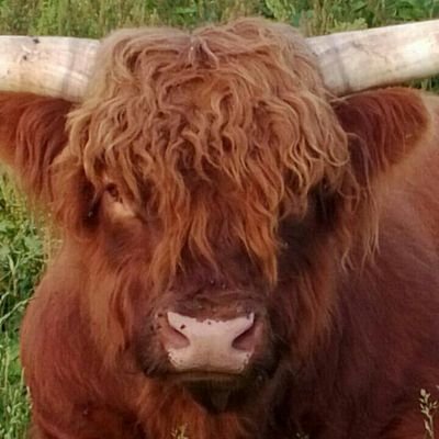 Profile Picture of Nanette Watson (@nanette_watson) on Twitter