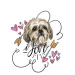 Mabel Lucas - Instagram Profile Picture of Mabel Lucas (@instashihtzu_lucas) on Instagram