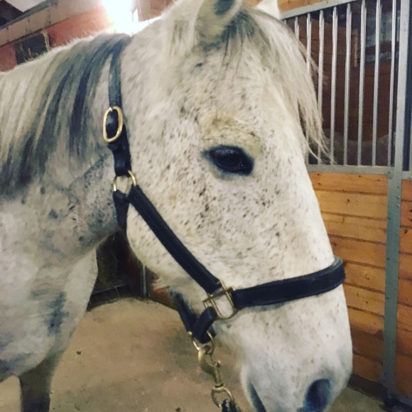 Anthony Vigliotti - Poshmark Profile Picture of Anthony Vigliotti (@geminilol) on Poshmark