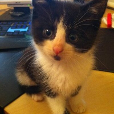 Profile Picture of Carl Chandler (@carlchandler) on Twitter
