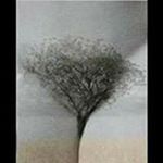 Profile Picture of S Ra Mey (@tobin.ramey) on Instagram