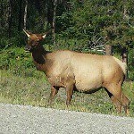 Profile Picture of Mike Finnigan (@qazqaz7800) on Instagram