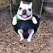 Profile Picture of Steven Tovar (@StevenTovar-mz1po) on Youtube