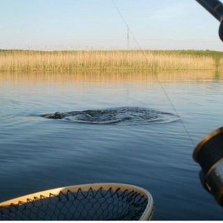 Profile Picture of Daniel Schwer (@daniel.schwer.54) on Facebook