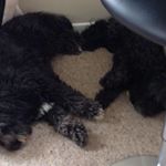 Kiley Sheahan - Instagram Profile Picture of Kiley Sheahan (@kiley.sheahan) on Instagram