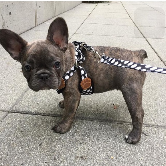 Amanda Borges - Poshmark Profile Picture of Amanda Borges (@amaanduh_) on Poshmark