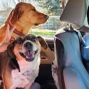 Profile Picture of Justin Rick (@justinrick2942) on Youtube