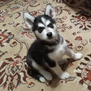 Profile Picture of Michael Van Dewerker (@vandewerkermichael) on Instagram