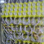 Profile Picture of Wenhao Zhang (@Wenhao-Zhang) on Facebook