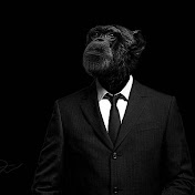 Profile Picture of Felipe Marcatili (@felipemarcatili4318) on Youtube