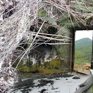 Profile Picture of Gene Lopez (@gelope999) on Myspace