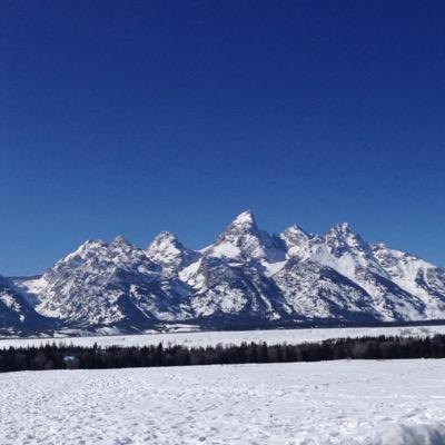 Profile Picture of Joshua Bernick (@JoshuaBernick) on Twitter