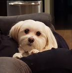 Profile Picture of Colin Connolly (@colin.connolly.771) on Facebook