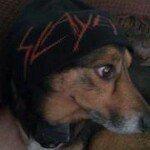 Jim Oliver - Instagram Profile Picture of Jim Oliver (@joliver1967) on Instagram