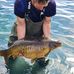 Profile Picture of Andrew Chorley (@andrew.chorley.71) on Facebook