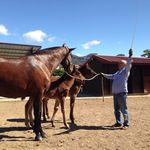 Profile Picture of Josep Maria Franch Plancheria (@franchplancheria) on Instagram