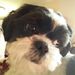 Profile Picture of Wanda Mockry (@mockry) on Pinterest