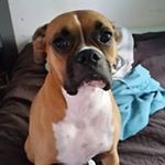 Profile Picture of Patrick Poulin (@patrick.poulin.731) on Instagram