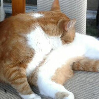 Profile Picture of James Gawne (@mrshady1) on Twitter