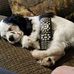 Profile Picture of Mark Braddock (@mark.braddock.988) on Facebook