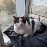 Profile Picture of Peter Lerche (@peter.lerche) on Instagram