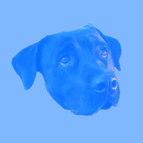 Profile Picture of Piper (@@pipermad) on Tiktok