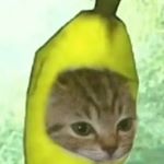 Joseph Henley - Instagram Profile Picture of Joseph Henley (@joseph.h3nley) on Instagram