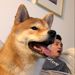 Profile Picture of Michael Chau (@data_doge_at_pinterest) on Pinterest