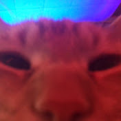 Profile Picture of Paige Edlund (@paigeedlund2735) on Youtube