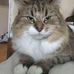 Profile Picture of Thomas Lecuyer (@thomas.lecuyer.14) on Facebook