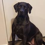 michael kienle - Instagram Profile Picture of michael kienle (@mak7.3) on Instagram