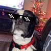 Profile Picture of david wheeler (@djwheeler_1) on Tiktok
