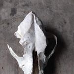 Profile Picture of Jeremy Cobb (@jeremy.cobb.528) on Instagram