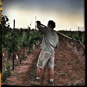 Profile Picture of Kent Callaghan (@kentcallaghan4930) on Youtube