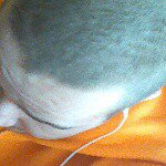 Michael Deluke - Instagram Profile Picture of Michael Deluke (@bigmike533456) on Instagram