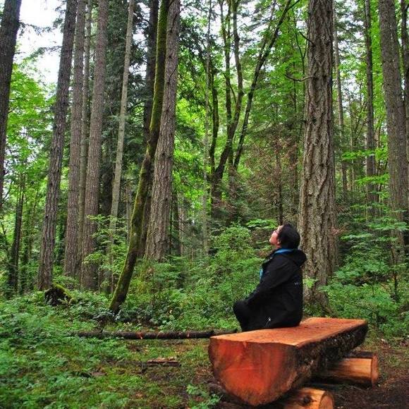 Profile Picture of Bianca Hurtado (@bhoneysunshine1) on Poshmark