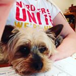 Profile Picture of Joanne Neufeldt (@joneufeldt) on Instagram