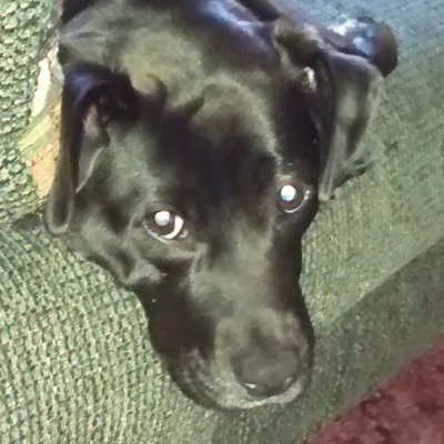Profile Picture of Tom Keys (@ThomasKeys) on Twitter