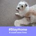 Profile Picture of Ruby Howell (@Ruby-Howell) on Facebook