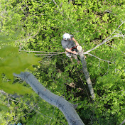 Profile Picture of Kenny Phillips (@Arborsloth) on Youtube