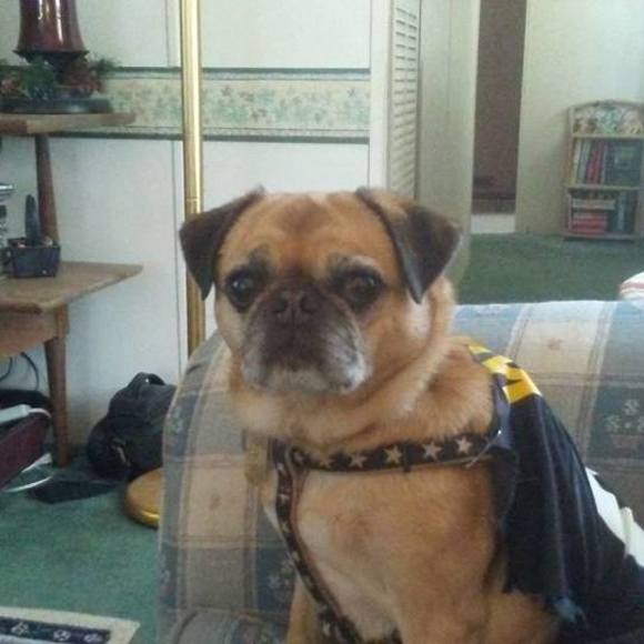 Profile Picture of Michelle Roberts hildenbrand (@steelerfan72) on Poshmark