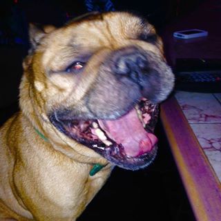 Profile Picture of Carl Hammitt (@Carl-Hammitt) on Facebook